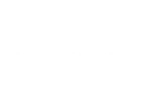 acclerate logo